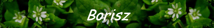 Borisz